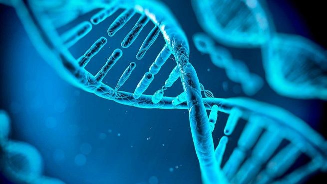 Representación visual de ADN relacionada con nutrigenética y nutrigenómica.